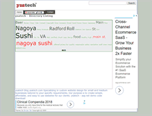 Tablet Screenshot of dir.ysatech.com